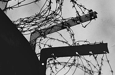 barbedwire1