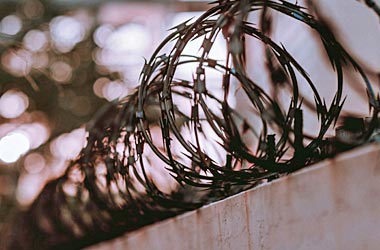 barbedwire2